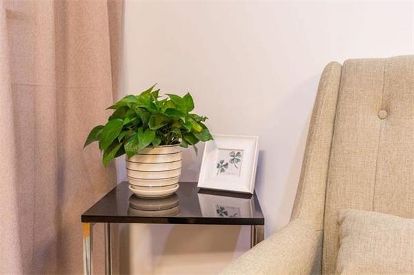 乾港集團,乾港官網(wǎng),乾港網(wǎng)絡,室內空氣凈化公司